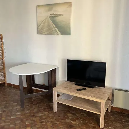 Au Cap D'agde, Animaux Acceptes, Proche - Fr-1-702-49 *