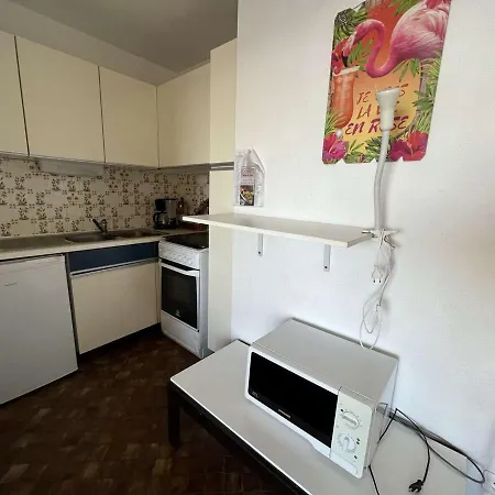 Au Cap D'agde, Animaux Acceptes, Proche - Fr-1-702-49