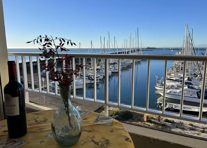 Au Cap D'agde, Animaux Acceptes, Proche - Fr-1-702-49 *