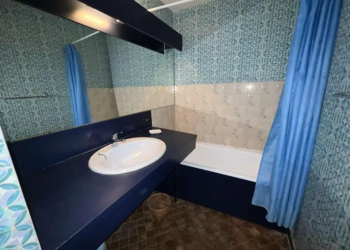 Au Cap D'agde, Animaux Acceptes, Proche - Fr-1-702-49