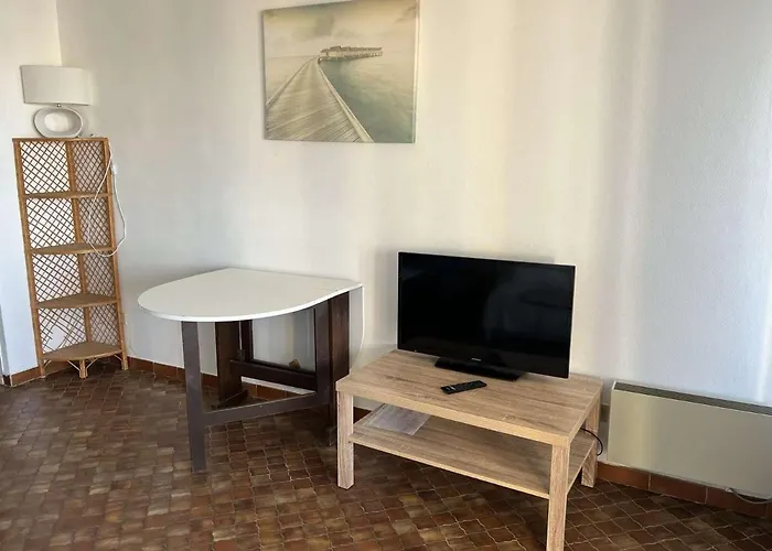 Au Cap D'agde, Animaux Acceptes, Proche - Fr-1-702-49 *