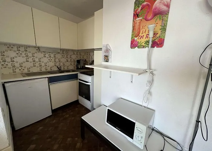 Au Cap D'agde, Animaux Acceptes, Proche - Fr-1-702-49