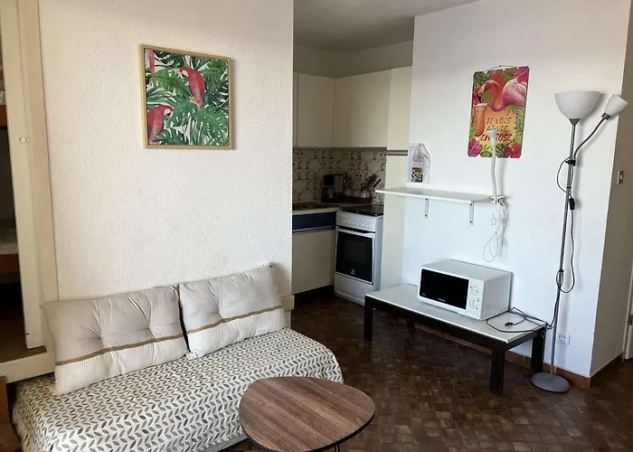 Au Cap D'agde, Animaux Acceptes, Proche - Fr-1-702-49 Apartment *